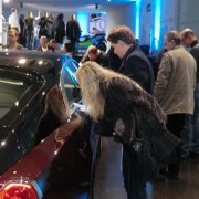 2013 Nacht der weissen Handschuhe BMW Museum