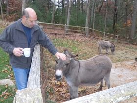 Chris liebt seine Esel